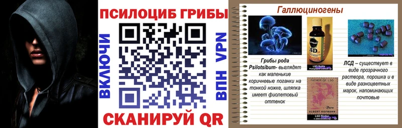 Псилоцибиновые грибы прущие грибы  Сочи 