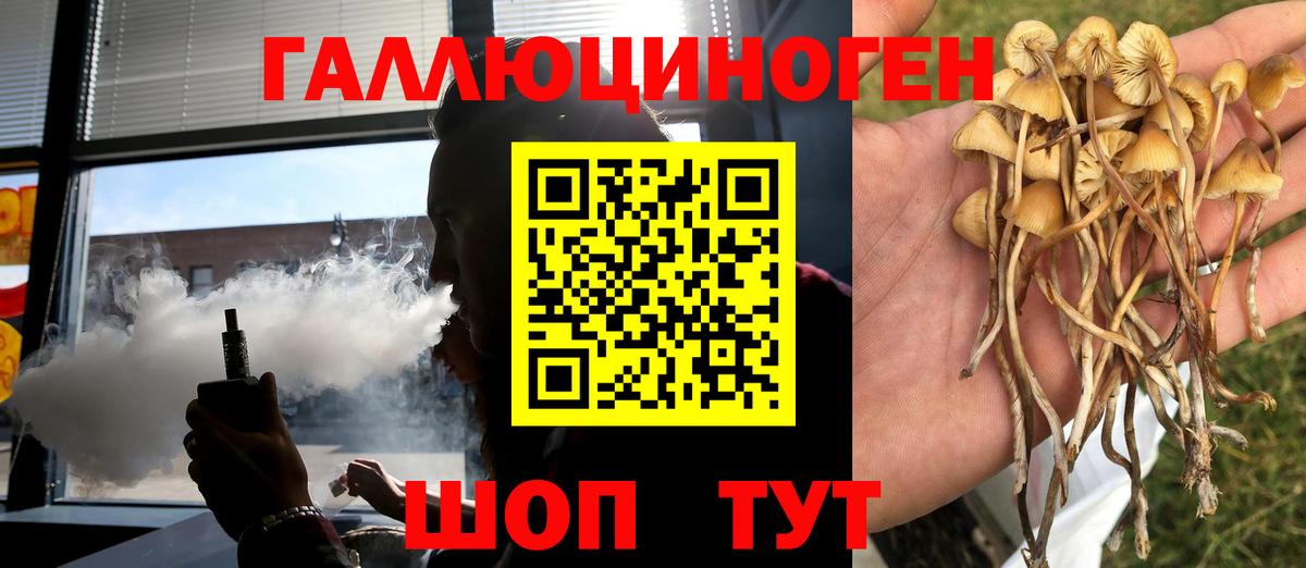Сочи  Псилоцибиновые грибы MAGIC MUSHROOMS  Галлюциногенные грибы Psilocybine cubensis  Вход с VPN 
